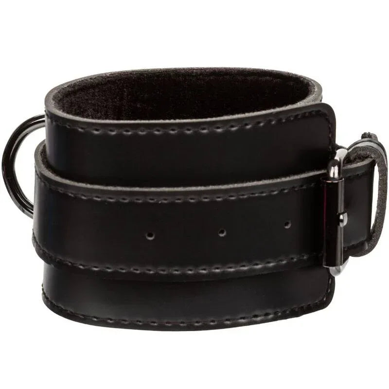 CALEXOTICS - EUPHORIA HOG BINDUNG - Vanelion Paradise