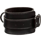 CALEXOTICS - EUPHORIA HOG BINDUNG - Vanelion Paradise