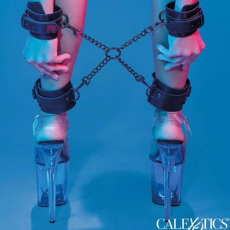 CALEXOTICS - EUPHORIA HOG BINDUNG - Vanelion Paradise