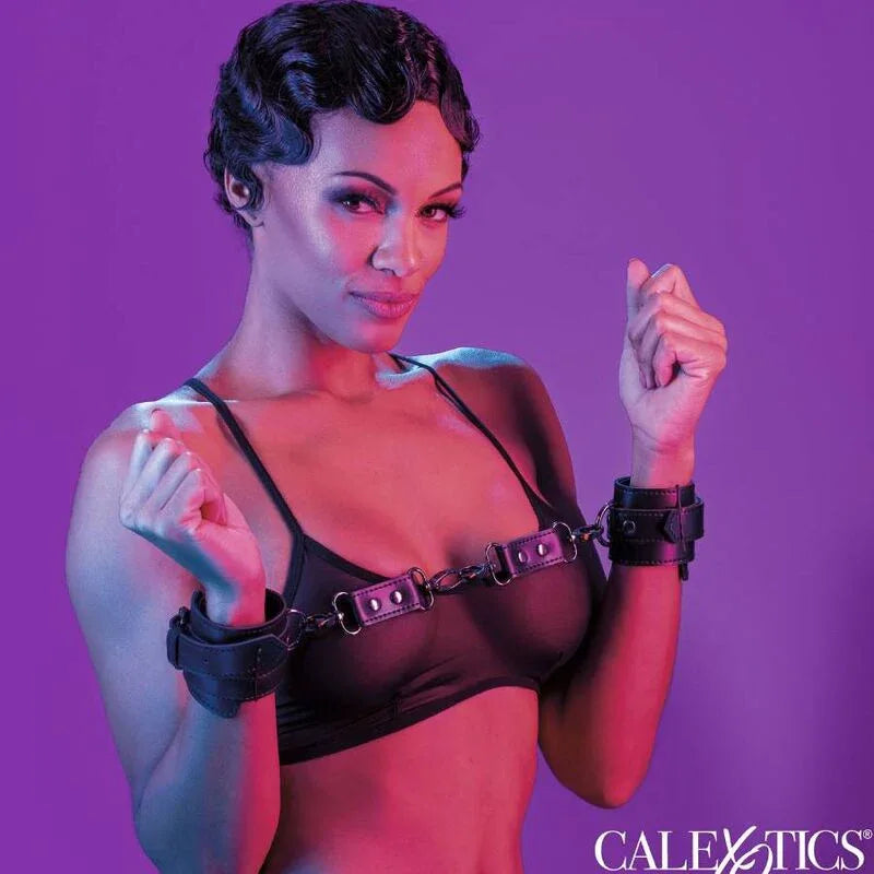 CALEXOTICS - EUPHORIA HANDSCHELLEN - Vanelion Paradise