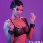CALEXOTICS - EUPHORIA HANDSCHELLEN - Vanelion Paradise