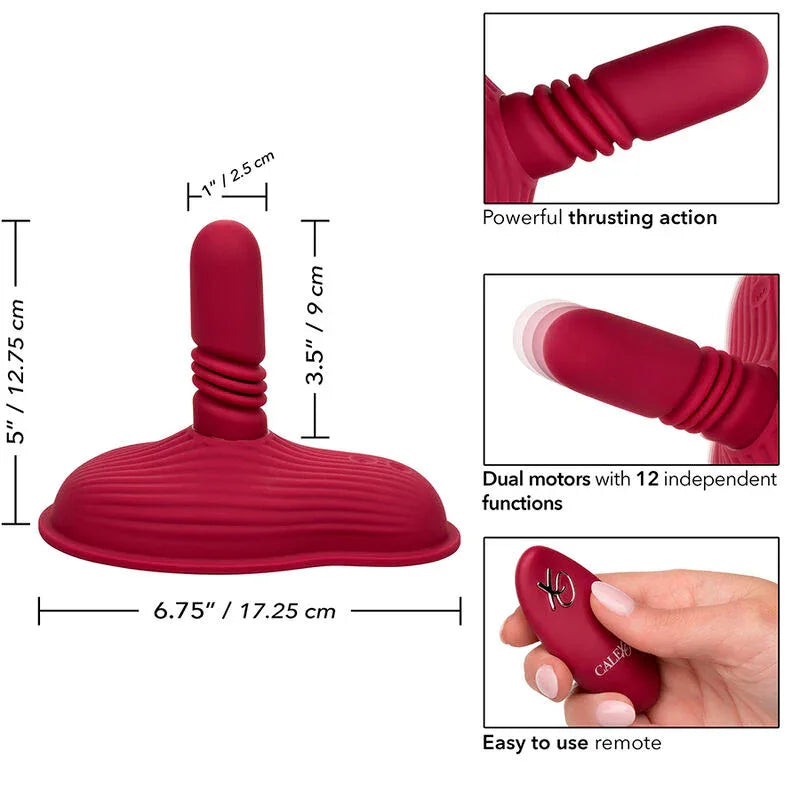 CALEXOTICS - RIDER MASSAGER DOPPELMOTOR FERNBEDIENUNG ROT - Vanelion Paradise
