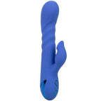 CALEXOTICS - LA LOVE VIBRATOR & SUCKER BLAU VON CALIFORNIA DREAMING - Vanelion Paradise