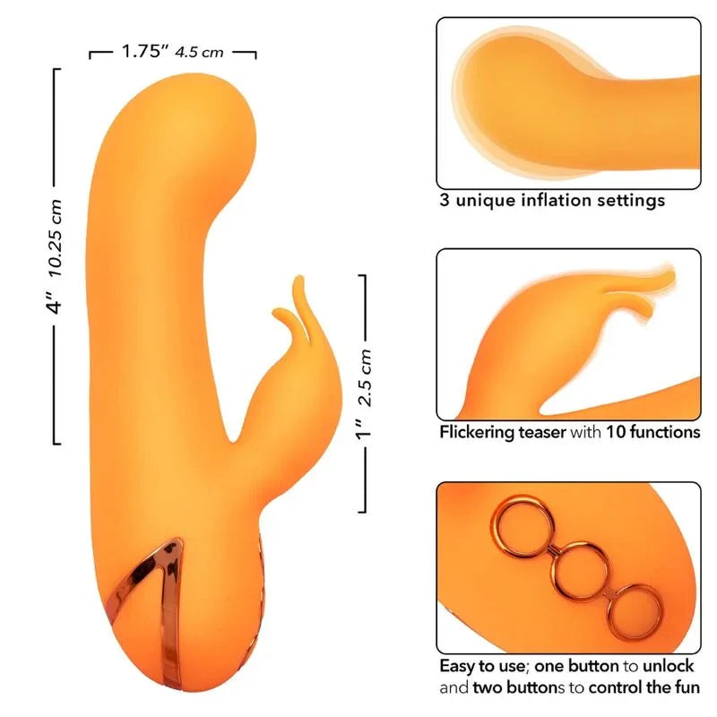 CALEXOTICS - MONTECITO MUSE VIBRATOR RABBIT ORANGE VON CALIFORNIA DREAMING - Vanelion Paradise