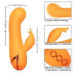 CALEXOTICS - MONTECITO MUSE VIBRATOR RABBIT ORANGE VON CALIFORNIA DREAMING - Vanelion Paradise