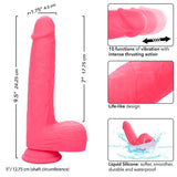 CALEXOTICS - STUDS REALISTISCHER VIBRATOR 10 VIBRATIONEN ROSA - Vanelion Paradise