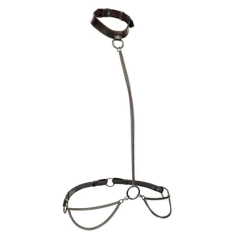 CALEXOTICS - EUPHORIA KETTENHALFTERHALSBAND UND LEINE - Vanelion Paradise