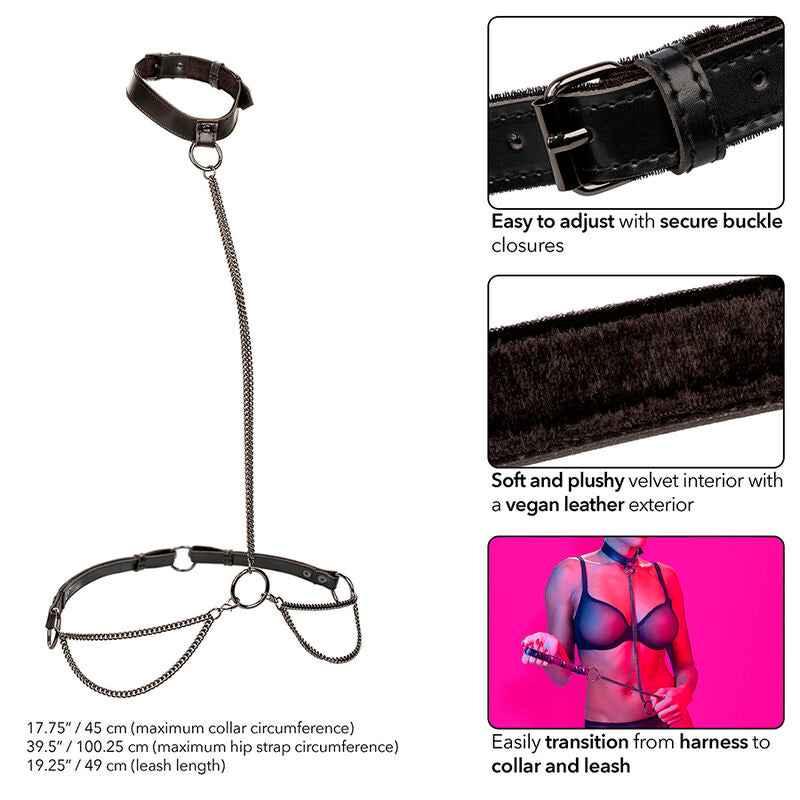 CALEXOTICS - EUPHORIA KETTENHALFTERHALSBAND UND LEINE - Vanelion Paradise
