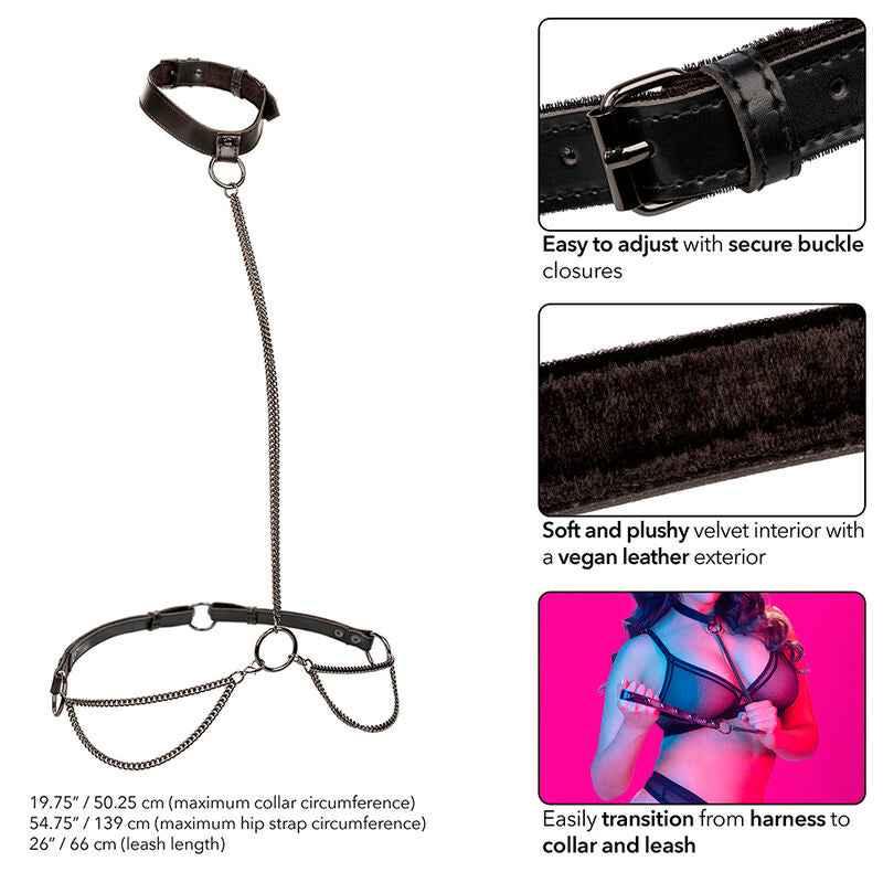 CALEXOTICS - EUPHORIA KETTENHALFTERHALSBAND UND LEINE ÜBERGRÖSSE - Vanelion Paradise