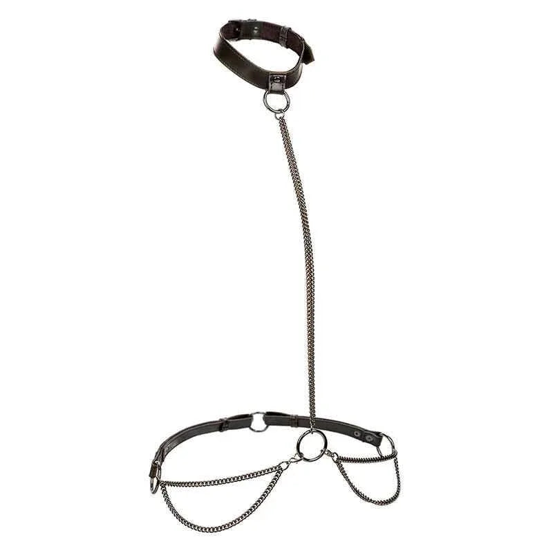 CALEXOTICS - EUPHORIA KETTENHALFTERHALSBAND UND LEINE ÜBERGRÖSSE - Vanelion Paradise