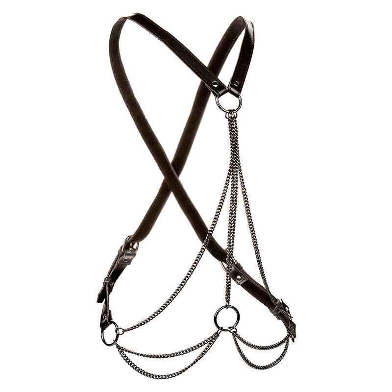 CALEXOTICS - EUPHORIA MULTICHAIN HARNESS PREMIUM - Vanelion Paradise