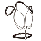 CALEXOTICS - EUPHORIA MULTICHAIN HALTER HARNESS PREMIUM ÜBERGRÖSSE - Vanelion Paradise
