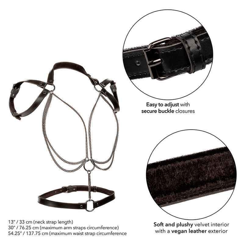 CALEXOTICS - EUPHORIA MULTICHAIN HALTER HARNESS PREMIUM ÜBERGRÖSSE - Vanelion Paradise