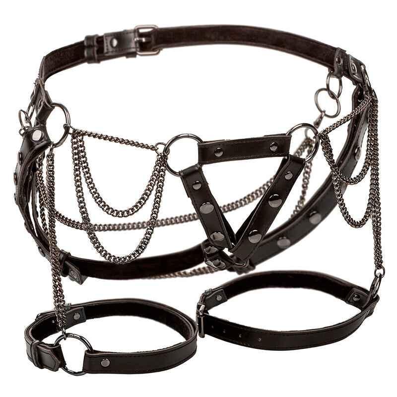 CALEXOTICS - EUPHORIA MULTICHAIN OBERSCHENKELHARNESS PREMIUM - Vanelion Paradise