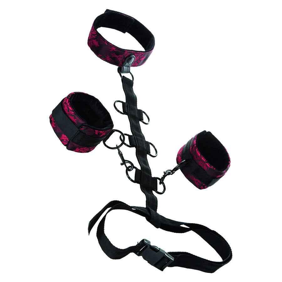 CALEXOTICS - SCANDAL COMPORAL UNTERSTÜTZUNG MIT HALS - Vanelion Paradise