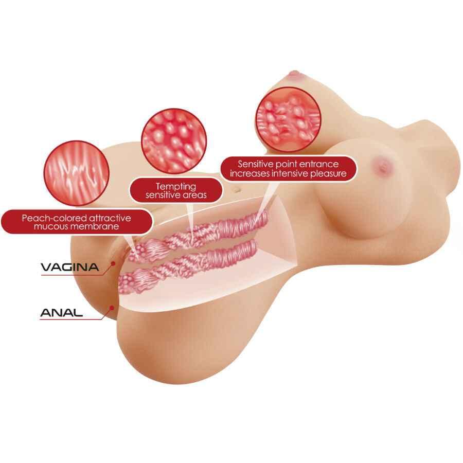 CRAZY BULL - HETTY REALISTISCHER WEIBLICHER TORSO VAGINA UND ANAL 1,9 KG - Vanelion Paradise