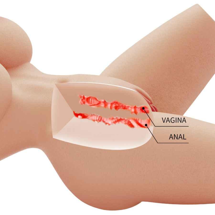 CRAZY BULL - LILY REALISTISCHER WEIBLICHER TORSO VAGINA UND ANAL 4 KG - Vanelion Paradise