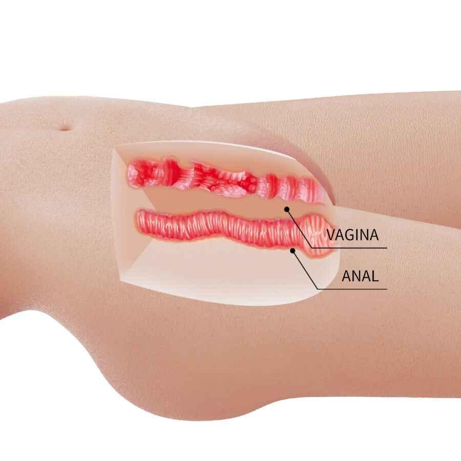 CRAZY BULL - MIA REALISTISCHER WEIBLICHER TORSO VAGINA UND ANAL 8,5 KG - Vanelion Paradise