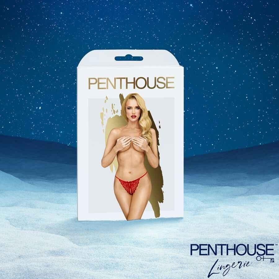 SATISFYER - PREMIUM ADVENTSKALENDER 2025 - Vanelion Paradise