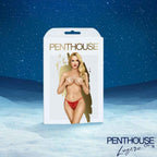 SATISFYER - PREMIUM ADVENTSKALENDER 2025 - Vanelion Paradise