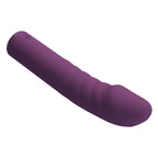 Pretty Love Ryland G-Punkt-Vibrator – Lila