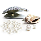 BIJOUX - INDISCRETS MIMI PEARL GOLDEN - Vanelion Paradise