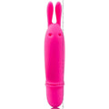 PRETTY LOVE - FLIRTATION BOYCE STIMULIERENDES MASSAGER - Vanelion Paradise