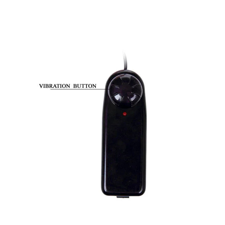 BAILE - SUPER VIBRO DONG V - Vanelion Paradise