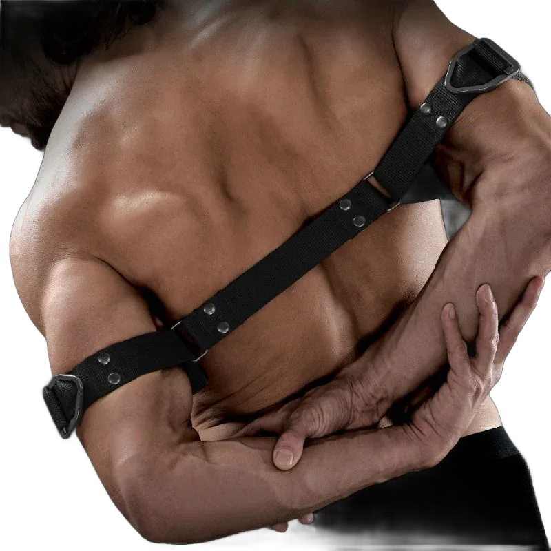 SIR RICHARDS - BEFEHL BIZEPS BENDER - Vanelion Paradise