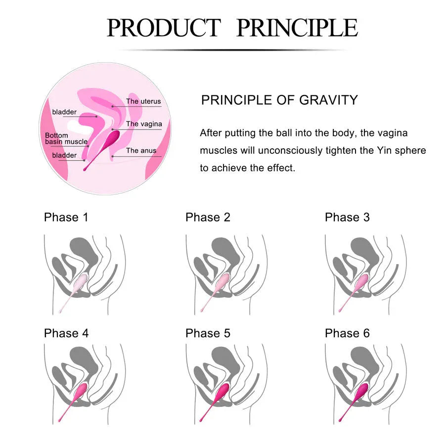 LESLIE - KEGEL FIT PELVIC MUSCLE TRAINING SET 6 STÜCKE - Vanelion Paradise