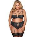 SUBBLIME - QUEEN PLUS SET SUJETADOR Y PANTIES CON LIGUERO - Vanelion Paradise