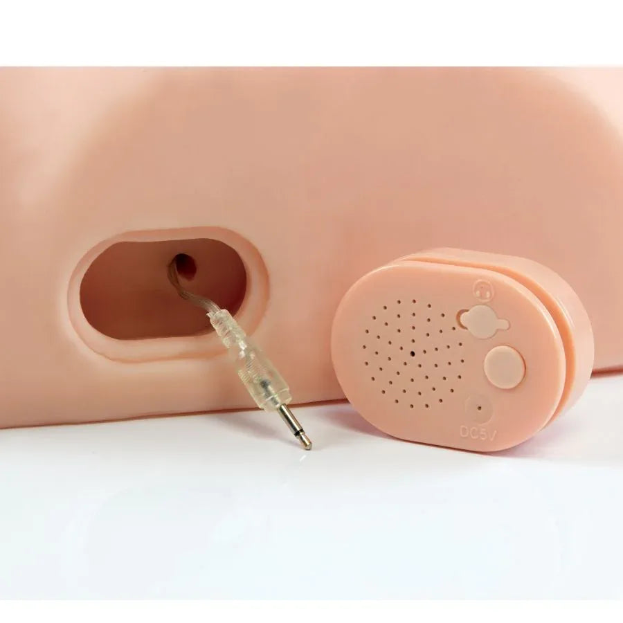 PDX MALE - MÄNNLICHER INTERAKTIVER FICK IHN ALUM - Vanelion Paradise