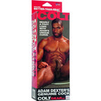 CALEXOTICS - COLT ADAM DEXTERS HAHN - Vanelion Paradise