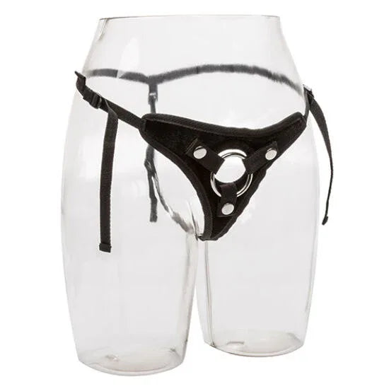 CALEXOTICS - IHR KÖNIGLICHES GESCHIRR DER PRINZESSIN IN EINER GRÖSSE - Vanelion Paradise