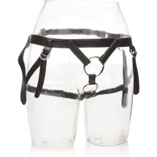 CALEXOTICS - IHR KÖNIGLICHES GESCHIRR. DIE DUTCHESS. EINE GRÖSSE - Vanelion Paradise