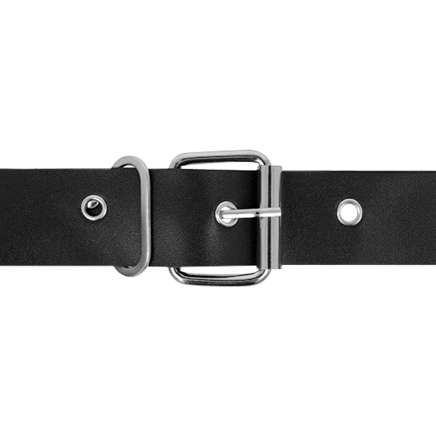 HARNESS ATTRACTION - RNES TAYLOR DELUXE 18 CM -O- 4.5 CM - Vanelion Paradise