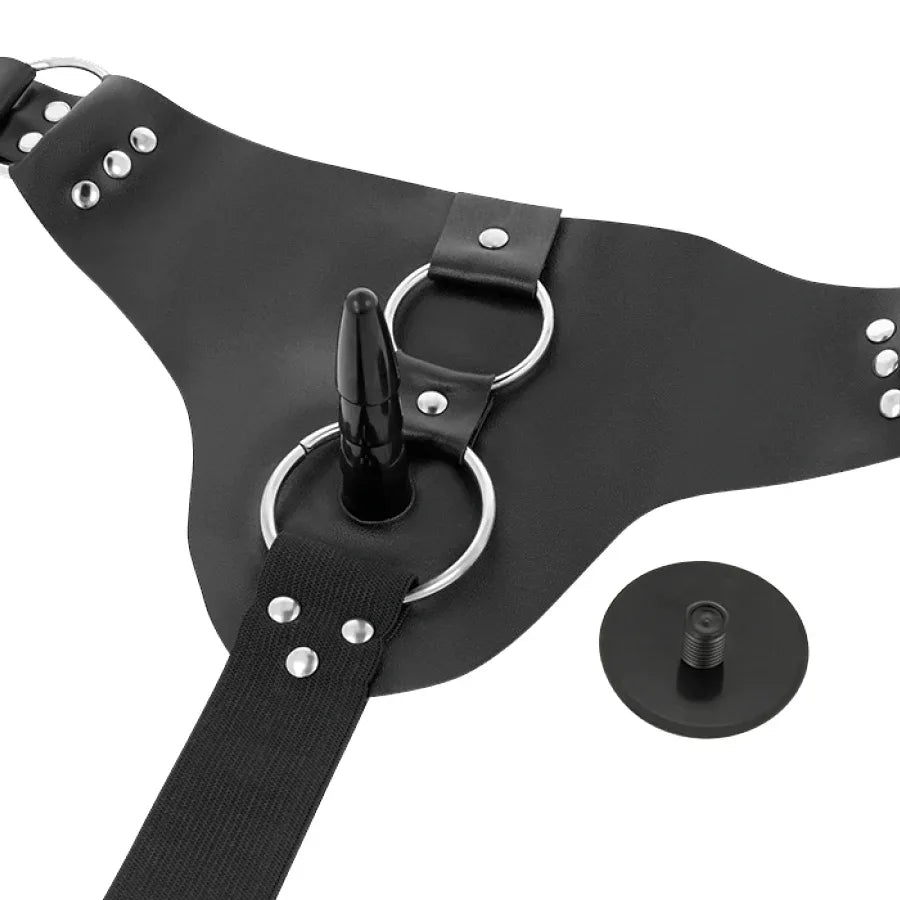 HARNESS ATTRACTION - RNES TAYLOR DELUXE 18 CM -O- 4.5 CM - Vanelion Paradise