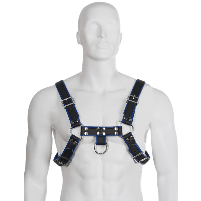 LEATHER BODY - BRUST BULLDOG HARNESS SCHWARZ / BLAU LEDER