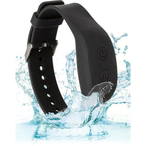 CALEXOTICS - ARMBAND-FERNBEDIENUNGSZUBEHÖR - Vanelion Paradise