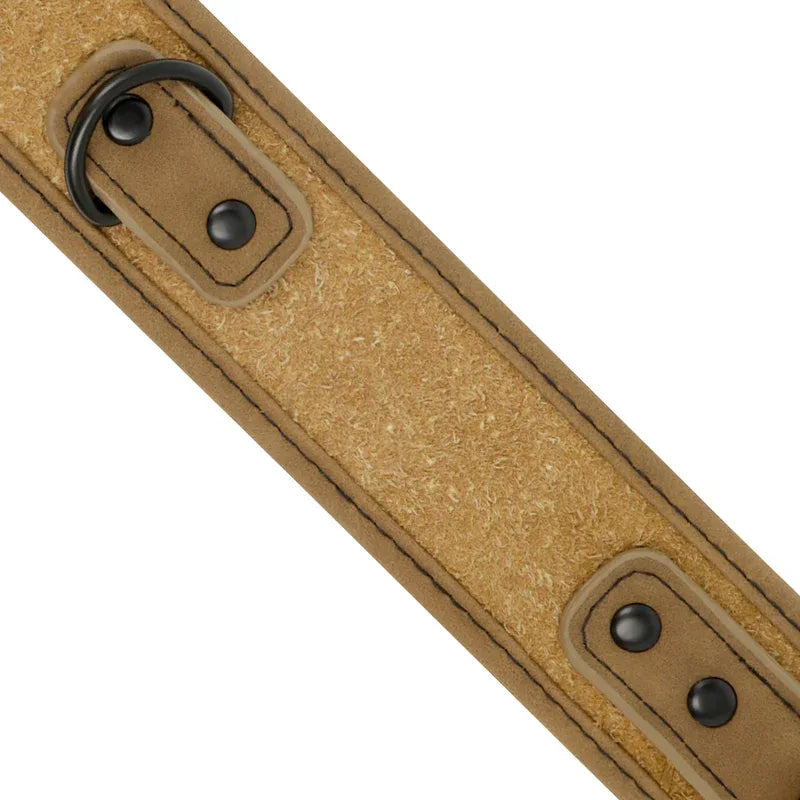 FETISH SUBMISSIVE ORIGEN - NEOPRENGEFÜTTERTE HALSKETTE MIT KETTE - Vanelion Paradise