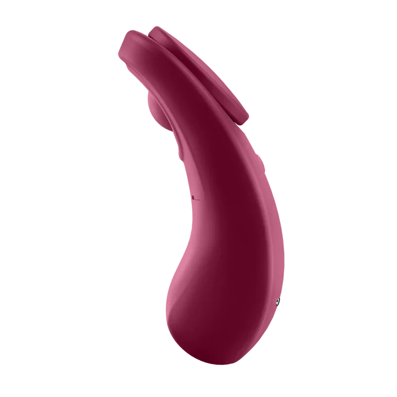 SATISFYER - SEXY SECRET PANTY - Vanelion Paradise