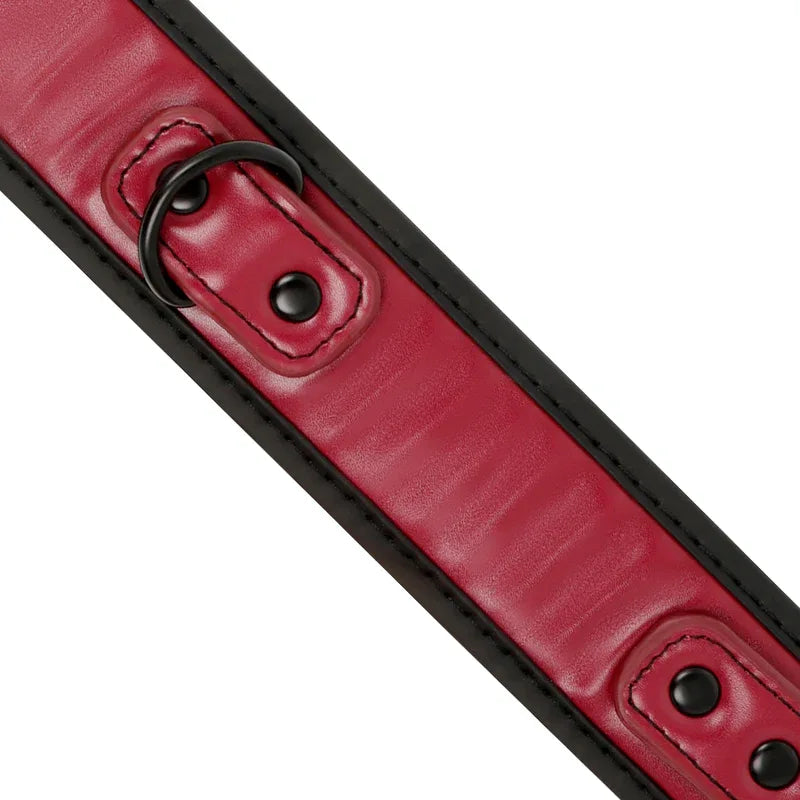 FETISH SUBMISSIVE DARK ROOM - KETTENHALSKETTE MIT NEOPRENFUTTER - Vanelion Paradise